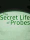 The Secret Life of Probes Prologue
