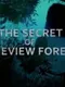The Secret of Pineview Forest
