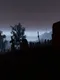 The Silent Neighbor