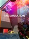 The Simulation