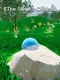 The Slime's Choice: TSC