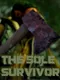 The Sole Survivor