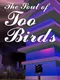 The Soul of Too Birds Game
