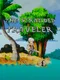 The Stranded Traveler
