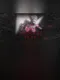 The Succubi Trap