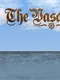 The Vasa Fasa