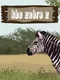 The Zebra Z