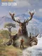 TheHunter: Call of the Wild - 2019 Edition