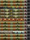 Theme Hotel