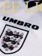 Three Lions