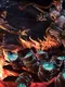 Thunder League