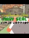 Time Travelling Navy Seal Ninja Warrior