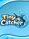 Tiny Catcher
