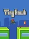 Tiny Hawk
