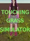 Touching Grass Simulator