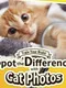 Train Your Brain! Spot the Difference with Cat Photos