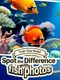 Train Your Brain! Spot the Difference With Fish Photos