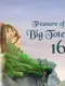 Treasure of Big Totem 16