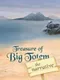 Treasure of Big Totem: The Narrative