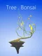 Tree.Bonsai