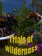 Trials of Wilderness