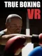 True Boxing VR