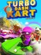 Turbo Dash Kart 2024 Racing