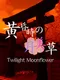 Twilight Moonflower