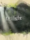 Twilight: The Video Game