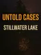 Untold Cases: Stillwater Lake