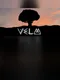 VeLM