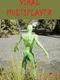 Viral Multiplayer