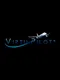 Virtu-Pilot