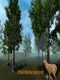 Virtual Hunting Experience