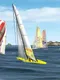Virtual Skipper