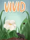 Vivid