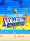 Volleyball Challenge