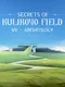 VR Archeology: Secrets of Kulikovo Field