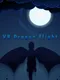 VR Dragon Flight