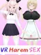 VR Harem Sex