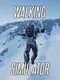 Walking Simulator