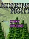 Wandering Fighter