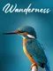Wanderness