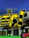 Wasps!