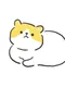 Weird Cat