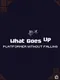 What Goes Up