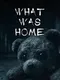 What Was Home