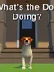 What's the Dog Doing?