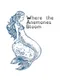 Where the Anemones Bloom