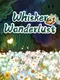 Whisker Wanderlust: The Wondrous Journey